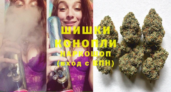 гидра Анива