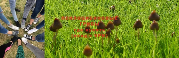 круглые Няндома