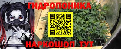 шишки Дубна