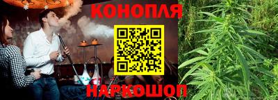 шишки Дубна