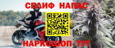 шишки Дубна