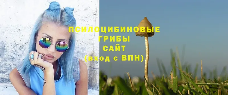 Псилоцибиновые грибы Magic Shrooms  наркотики  Орск 